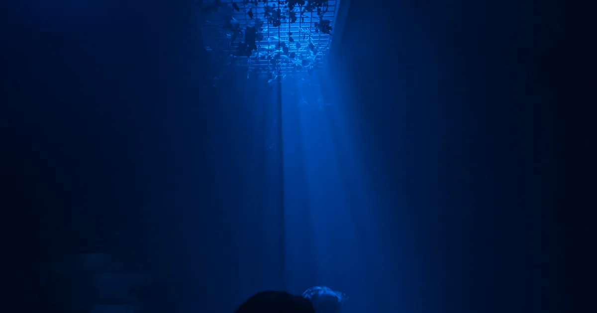 Naturalis Festival Showcase ADE Special at Der Hintergarten — ADE